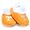Tennessee Volunteers