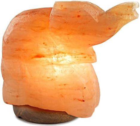 Natural Himalayan Elephant nose up Salt Lamp Ionic Air Purifier with on/off cord and Wooden Base