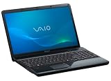 Sony Vaio EC4B4E/BI 17,3 Zoll Notebook