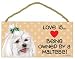 Maltese Dog with bow in hair (Love is being owned by) Door Sign 5''x10''