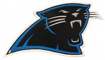 Carolina Panthers 12