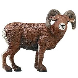 Safari Big Horn Ram Animal Figure- Pack of 6