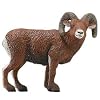 Safari Big Horn Ram Animal Figure- Pack of 6