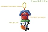 Musical Pull & Play - Barn or Birdhouse