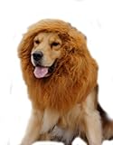 EconoLed Large Pet Dog Cat Lion Wigs Mane Hair Festival Party Fancy Dress Clothes Costume(Brown, L)