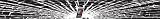 Portland Trail Blazers Shattered Auto Visor Decal