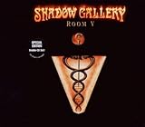 Room V (Limited Edition)by Shadow Gallery (2010-04-06)【並行輸入品】