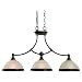 Sea Gull Lighting 66330-825 3-Light Warwick Pendant and Billiard Light, Smoky Parchme...