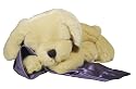 Cloud b Lavender Lab - Plush Dog with Scented Lavender