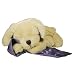 Cloud b Lavender Lab with Scented Lavender Sleep Aid