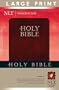 Holy Bible New Living Translation Red Letter Large Print