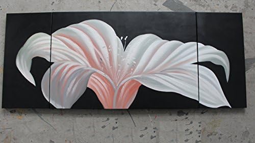 TJie Art Hand Painted Mordern Oil Paintings Wall Decor Lily Flower Clouds Home Landscape Oil Paintings Splice 3-piece/set on Canvas