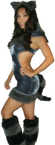 Sexitu Cute Little Furry Raccoon Costume (Small)