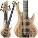 Musical Instruments : B405SM 5 String Bass (Spalted Maple)