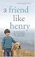A Friend Like Henry