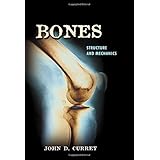 bones structure and mechanics