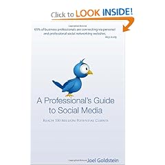 A Professionals Guide to Social Media: The complete step by step guide for an entrepreneur (Volume 1)