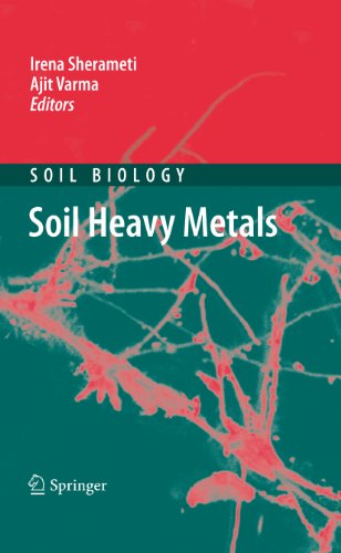 Soil Heavy Metals: 19 (Soil Biology)
