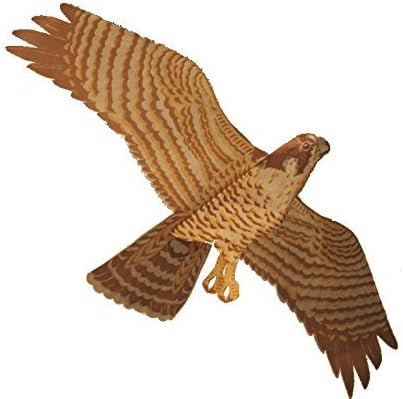 Peregrine Falcon - Assembled Bird Kite, Wind Sock