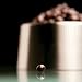Gourmet Food : Caramelo Cola by Enric Rovira - Chocolate Covered Caramel Pieces