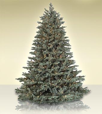 9 ft. Treetime Savoy Blue Spruce Artificial Christmas Tree with Clear Lights