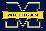 NCAA Michigan Wolverines 20 x 30 Rug