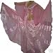 Womens Belly dance costume