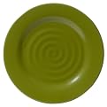 Swirl Dinner Plate Set of 12 - Spring Vine