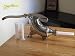 Chicago Food Machinery Homepro 5LB Sausage Stuffer Machine (YD-SSSS-5LB)