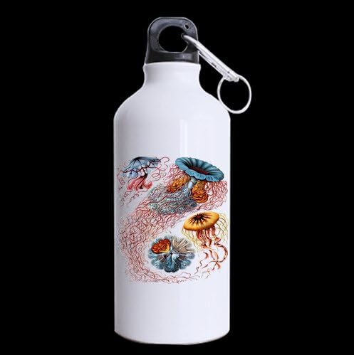 Jellyfish Octopus Deep Sea Ocean Fish Sports Bottle, Aluminum Sport Water Bottle - 13.5 OZ - BPA Free, one-sided Printing
