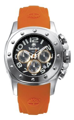 Timberland Sandown Men's Quartz Watch QT7129107
