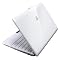 ASUS 10.1" Eee PC 160GB Netbook Computer with Windows XP Home - White (1005HA)