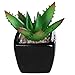 MyGift Set of 3 Modern Square Black Ceramic Artificial Succulent Planter/Mini Faux Potted Plants