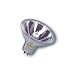 Platinum Q/20W/MR16/NARROW-SPOT-8-DEGREES/12V