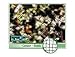 Outdoor Living : 10 YEAR PROTECTION NET 5M x 4M