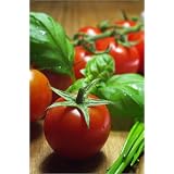 Poster 50 x 80 cm - "K�chenfrische Tomaten" von Tanja Riedel - auch in anderen Gr��en und als Leinwandbild erh�ltlichvon "POSTERLOUNGE"