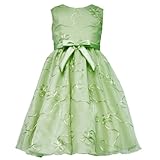 Rare Editions GIRLS2T-6X HONEYDEW-GREEN SOUTACHE ORGANZA OVERLAY Special Occasion Wedding Flower Girl Easter Party Dress