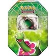 Pokemon 2010 Spring Tin Heart Gold Soul Silver Tin: Meganium