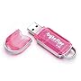 ByteStor 8GB USB High Speed "Dataferry" Pink Flash Drive