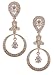 18KR Diamond Earrings