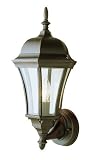 1 LGHT CLR GLSS WALL LNTRN, UP-SWD IRON