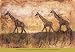 African Savannah II Art Print Poster By Wiley, 39 