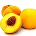 Women's - Peach Scented Pheromone Oil (Roll On)