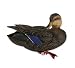 Big marsh Black Duck Decoy