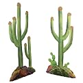 Fiesta Cactus Decoration