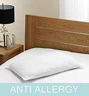 Anti-Allergy Soft Touch Firm Support Pillow