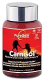 PureGels Carnisol with L-Carnipure, 90 Soft Gels