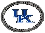 Kentucky Wildcats Team Logo Lapel Pin