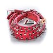 Leather Spike Collar Pink 5/8X16 Leather Spike Collar Pink 5/8X16