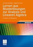 Lernen aus Musterlösungen zur Analysis und Linearen Algebra: Ein Arbeits- und Übungsbuch